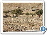 80_Bedouin_camp_and_shepherd